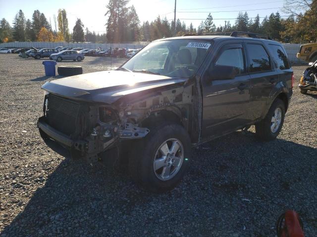 2011 FORD ESCAPE XLT, 