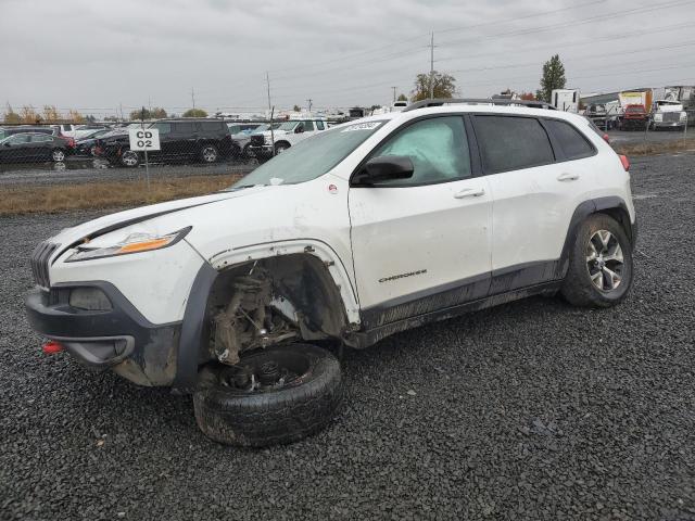 1C4PJMBS0GW343738 - 2019 JEEP CHEROKEE TRAILHAWK WHITE photo 1