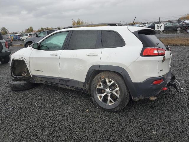 1C4PJMBS0GW343738 - 2019 JEEP CHEROKEE TRAILHAWK WHITE photo 2