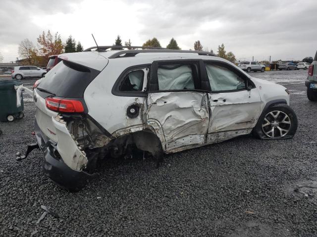 1C4PJMBS0GW343738 - 2019 JEEP CHEROKEE TRAILHAWK WHITE photo 3