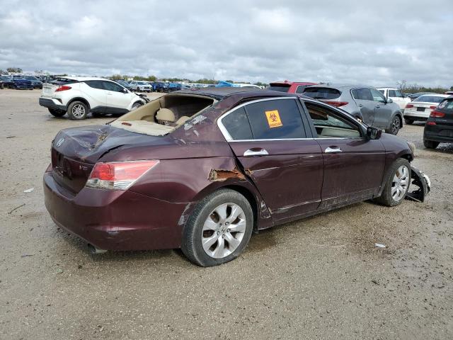 5KBCP3F8XAB015553 - 2010 HONDA ACCORD EXL BURGUNDY photo 3