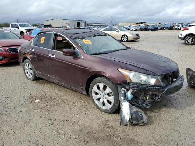 5KBCP3F8XAB015553 - 2010 HONDA ACCORD EXL BURGUNDY photo 4