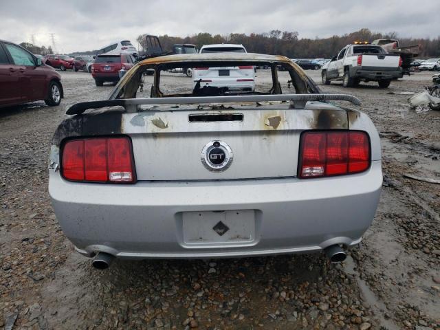 1ZVHT82H255123219 - 2005 FORD MUSTANG GT BURN photo 6