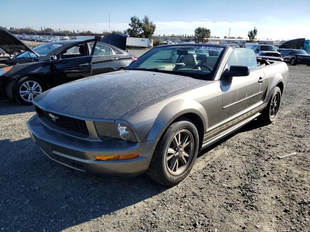 1ZVFT84N055216847 - 2005 FORD MUSTANG GRAY photo 1