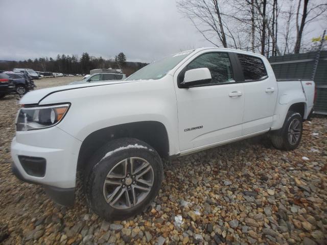 2019 CHEVROLET COLORADO, 