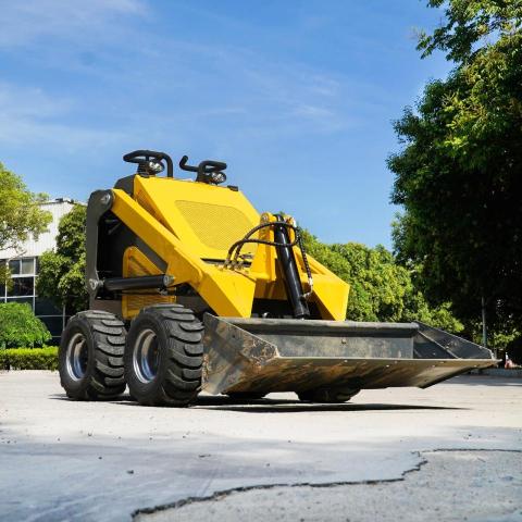 3898039 - 2024 OTHER SKID STEER UNKNOWN - NOT OK FOR INV. photo 6