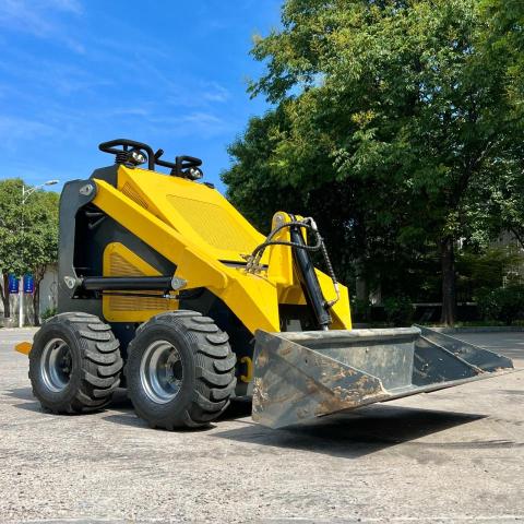 3898030 - 2024 OTHER SKID STEER UNKNOWN - NOT OK FOR INV. photo 8