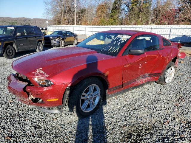 1ZVBP8AM1B5132837 - 2011 FORD MUSTANG RED photo 1