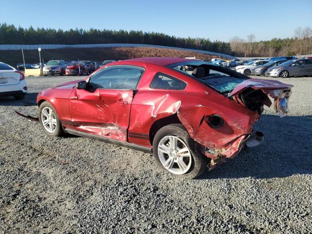 1ZVBP8AM1B5132837 - 2011 FORD MUSTANG RED photo 2