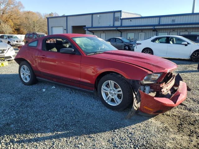 1ZVBP8AM1B5132837 - 2011 FORD MUSTANG RED photo 4