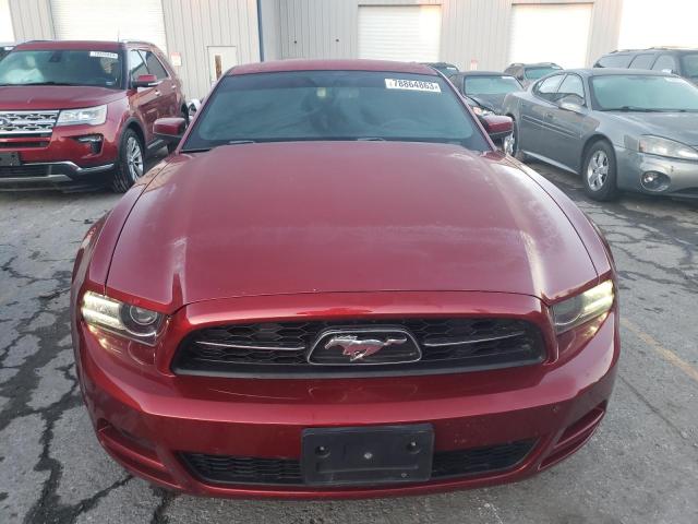 1ZVBP8AMXE5204770 - 2014 FORD MUSTANG RED photo 5