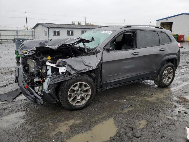 1C4PJMBX8LD527715 - 2020 JEEP CHEROKEE TRAILHAWK CHARCOAL photo 1