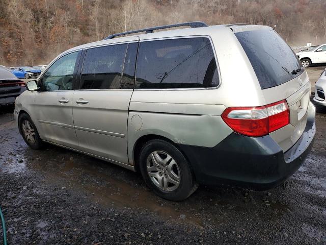 5FNRL38465B029082 - 2005 HONDA ODYSSEY EX BEIGE photo 2