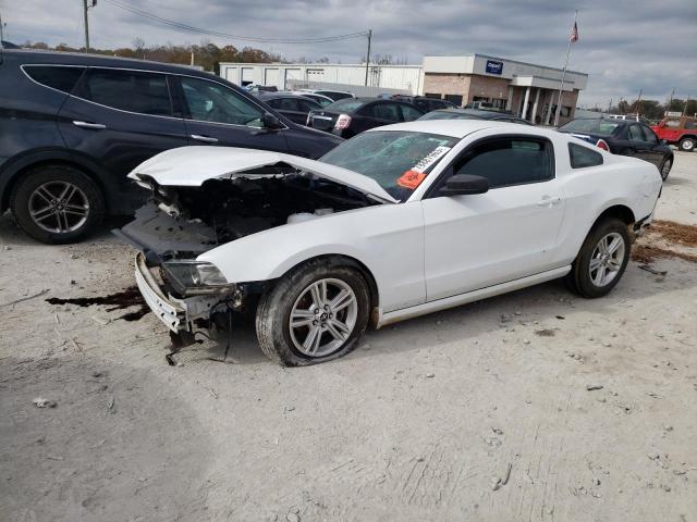 1ZVBP8AM3E5290147 - 2014 FORD MUSTANG WHITE photo 1