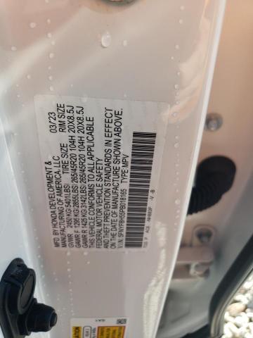 5FNYF8H55PB018165 - 2023 HONDA PASSPORT EXL Ağ foto 13