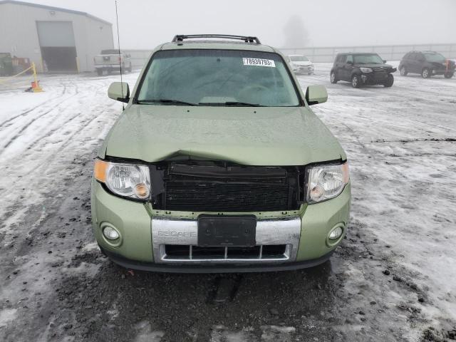 1FMCU5K3XAKB75850 - 2010 FORD ESCAPE HYBRID GREEN photo 5