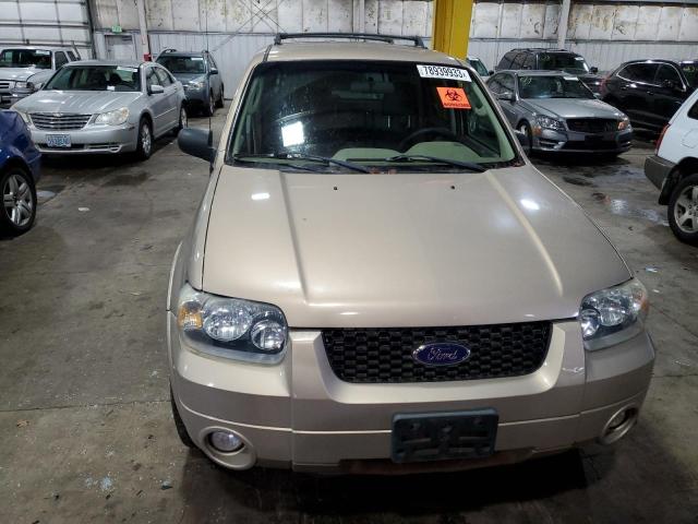 1FMCU03197KA05052 - 2007 FORD ESCAPE XLT TAN photo 5