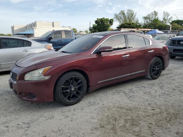 1N4AA5AP9AC838611 - 2010 NISSAN MAXIMA S BROWN photo 1