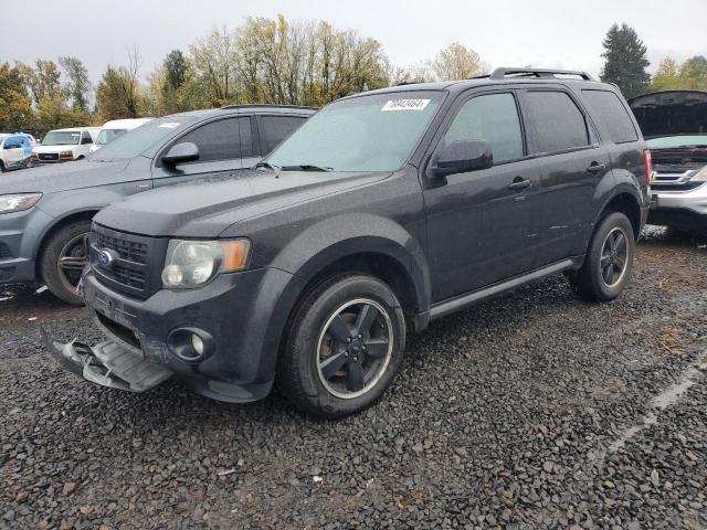 2011 FORD ESCAPE XLT, 