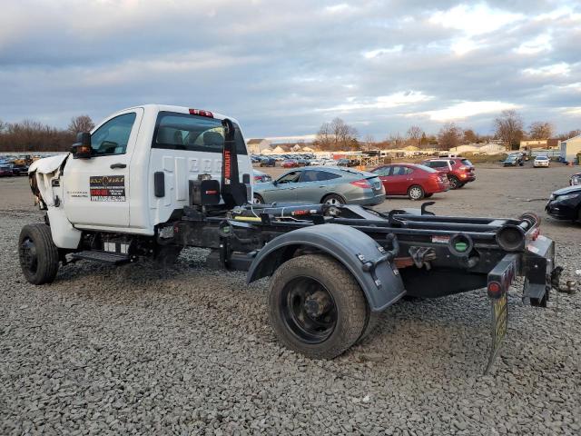 1HTKJPVK9MH664588 - 2021 CHEVROLET SILVERADO WHITE photo 2