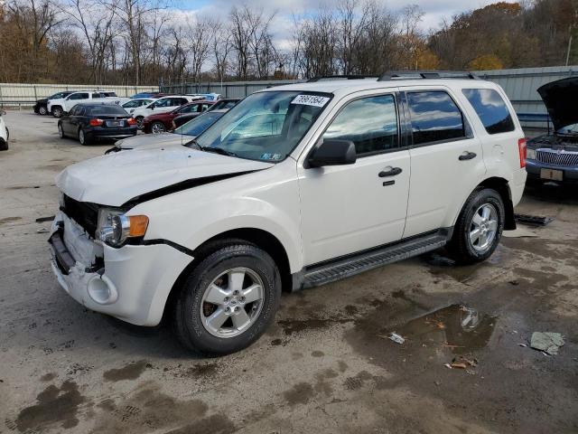 2010 FORD ESCAPE XLT, 