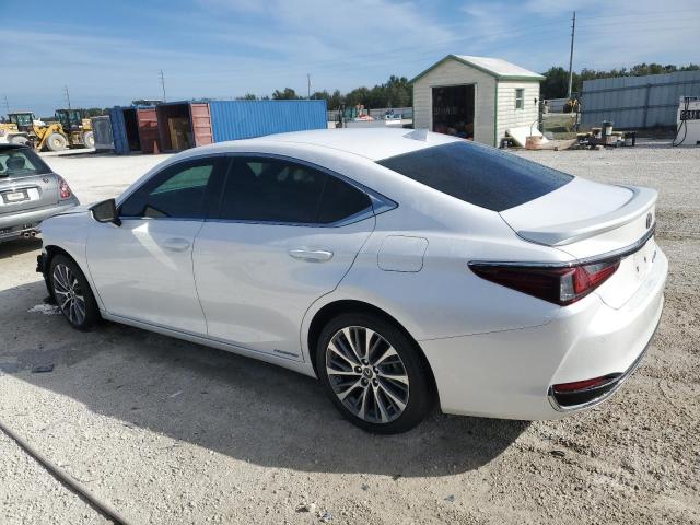 58ADA1C18MU005359 - 2021 LEXUS ES 300H WHITE photo 2