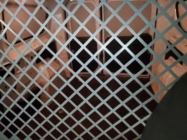 ZFBERFAT9G6C57324 - 2016 RAM PROMASTER 白色 照片 10