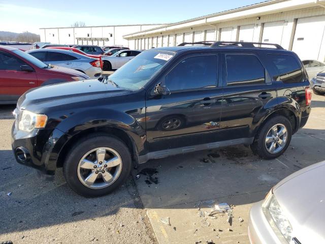 2010 FORD ESCAPE XLT, 