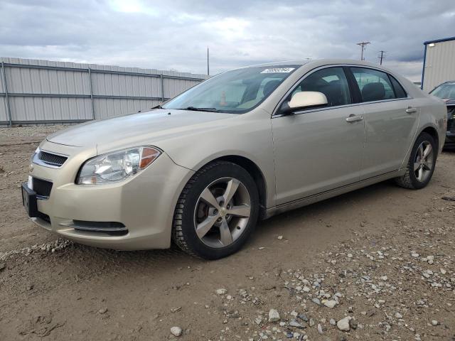 2011 CHEVROLET MALIBU 1LT, 