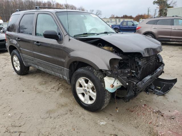 1FMYU93157KA61984 - 2007 FORD ESCAPE XLT BROWN photo 4