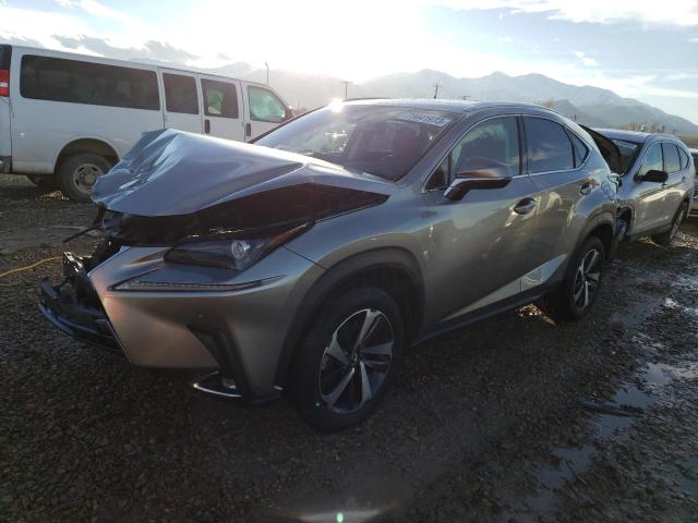 JTJGARDZ3M5028213 - 2021 LEXUS NX 300 BASE Boz foto 1