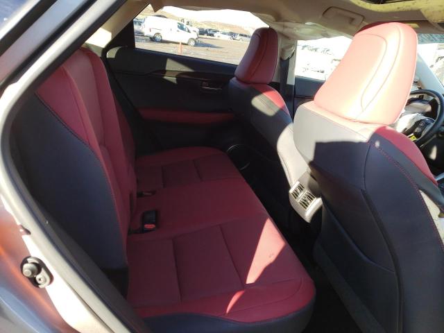 JTJGARDZ3M5028213 - 2021 LEXUS NX 300 BASE Boz foto 10