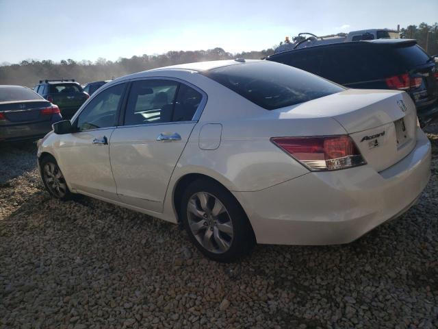 1HGCP36838A050356 - 2008 HONDA ACCORD EXL WHITE photo 2