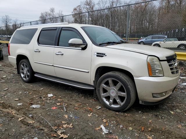 1GYFK66837R405984 - 2007 CADILLAC ESCALADE ESV CREAM photo 4