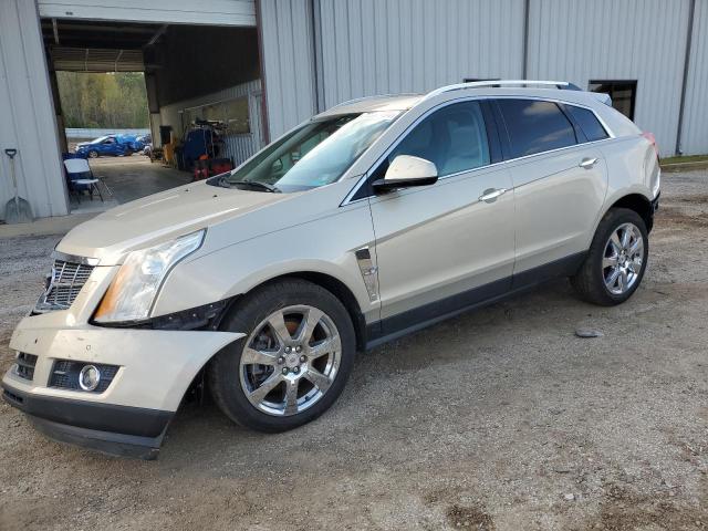 3GYFNBEY4BS564102 - 2011 CADILLAC SRX PERFORMANCE COLLECTION Beige photo 1