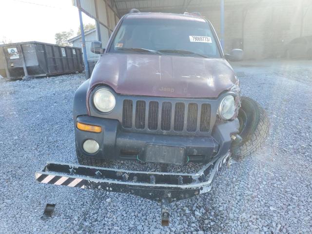 1J4GL48K62W300073 - 2002 JEEP LIBERTY SPORT BURGUNDY photo 5