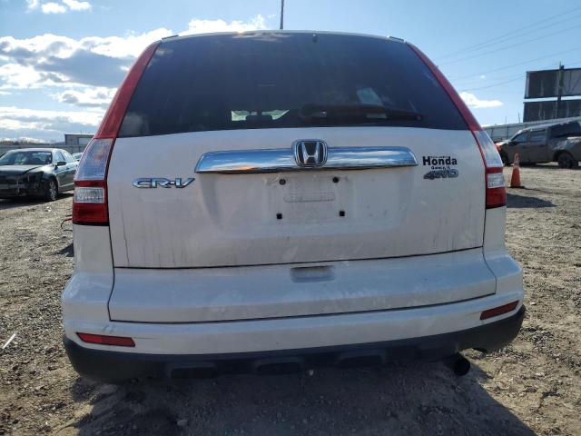 5J6RE4H77AL042175 - 2010 HONDA CR-V EXL WHITE photo 6