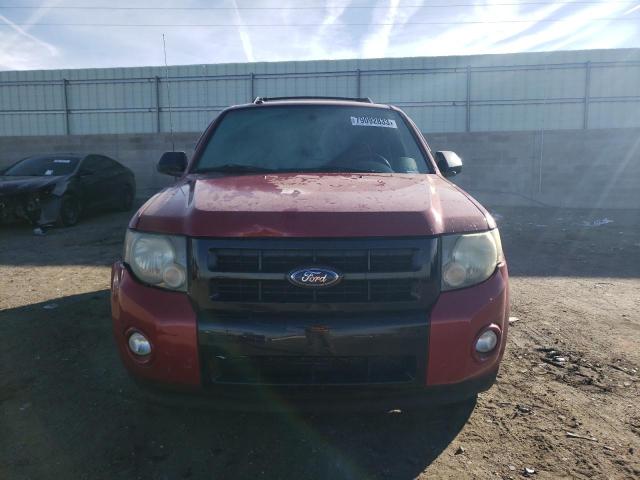 1FMCU03G79KD13540 - 2009 FORD ESCAPE XLT RED photo 5