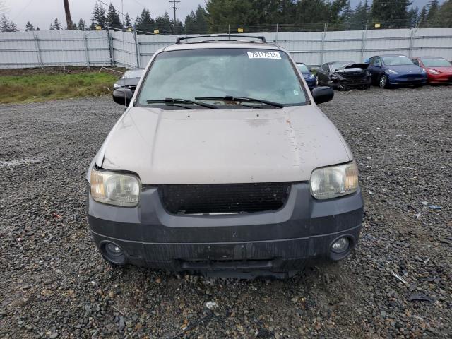 1FMCU04131KC61600 - 2001 FORD ESCAPE XLT GRAY photo 5