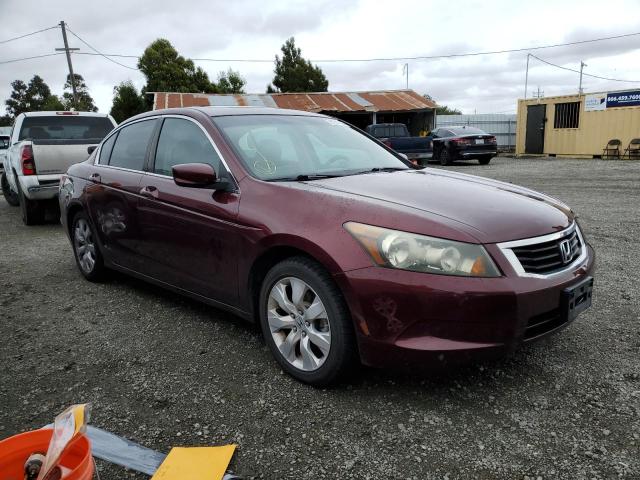 1HGCP2F88AA120062 - 2010 HONDA ACCORD EXL BURGUNDY photo 4