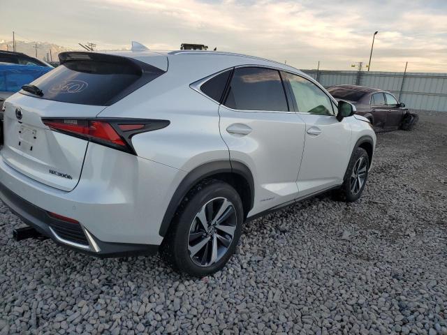 JTJGJRDZ1L5008914 - 2020 LEXUS NX 300H WHITE photo 3