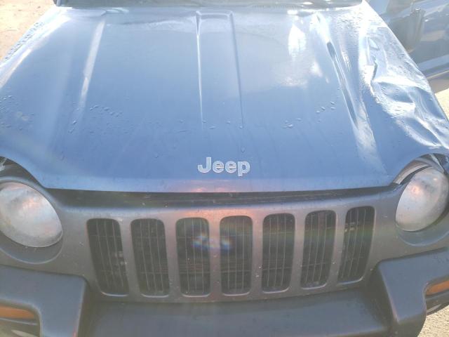 1J4GL48K93W663467 - 2003 JEEP LIBERTY SPORT BLUE photo 11