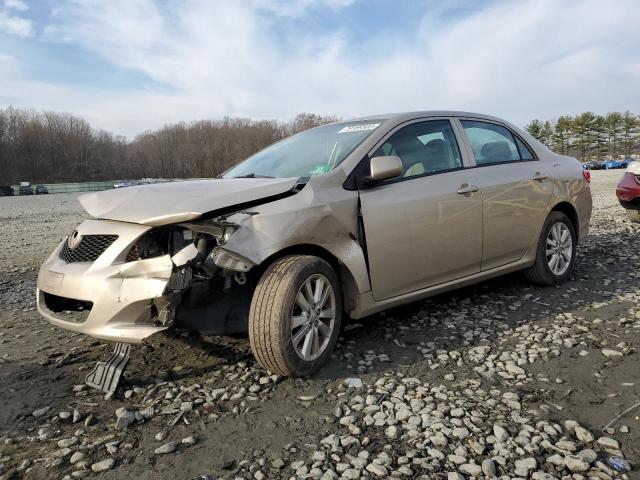 2T1BU4EE0AC335064 - 2010 TOYOTA COROLLA BASE BEIGE photo 1