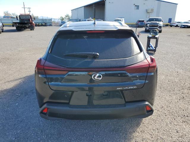 JTHP9JBH8R2076725 - 2024 LEXUS UX 250H PREMIUM BLACK photo 6