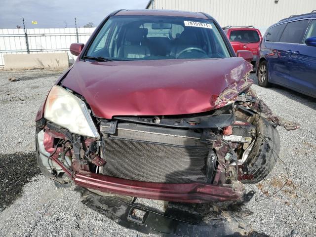 5J6RE48779L061689 - 2009 HONDA CR-V EXL BURGUNDY photo 5