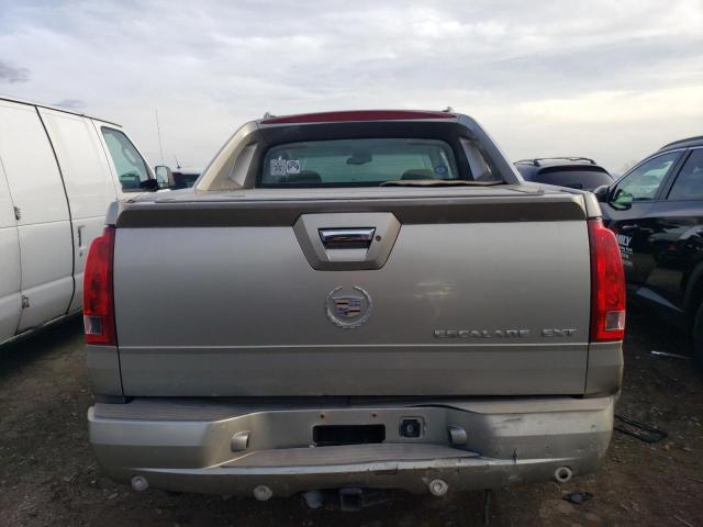 3GYEK63N82G205536 - 2002 CADILLAC ESCALADE EXT BEIGE photo 10