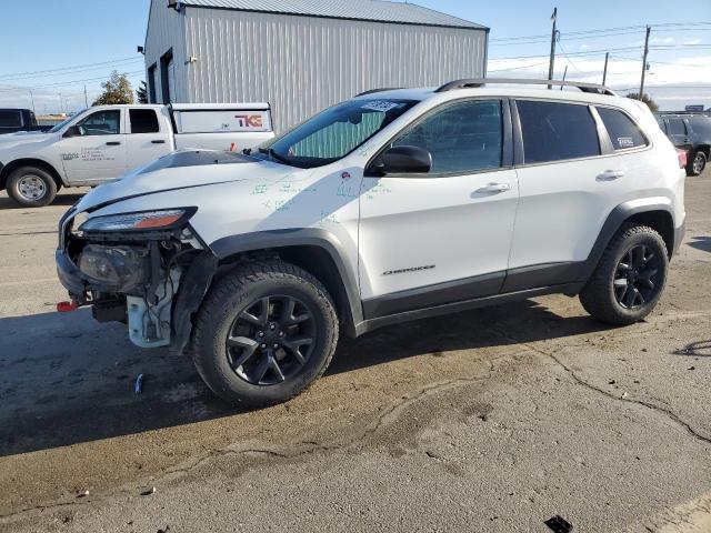 1C4PJMBS3HW567992 - 2017 JEEP CHEROKEE TRAILHAWK WHITE photo 1