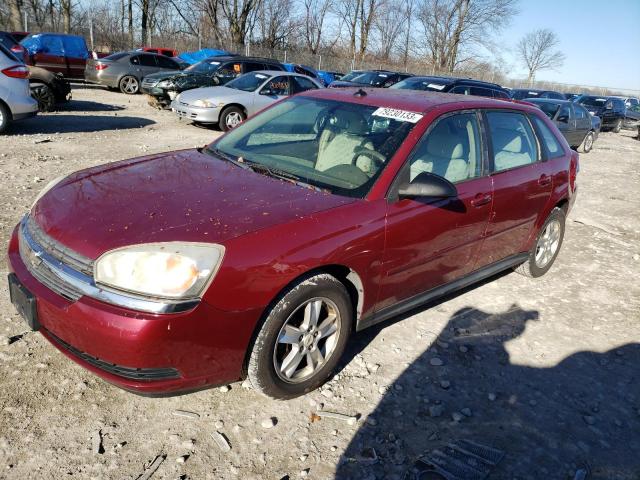 1G1ZT64815F216938 - 2005 CHEVROLET MALIBU MAXX LS BURGUNDY photo 1