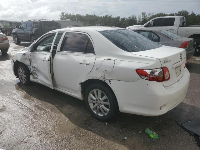 1NXBU4EE8AZ184036 - 2010 TOYOTA COROLLA BASE WHITE photo 2