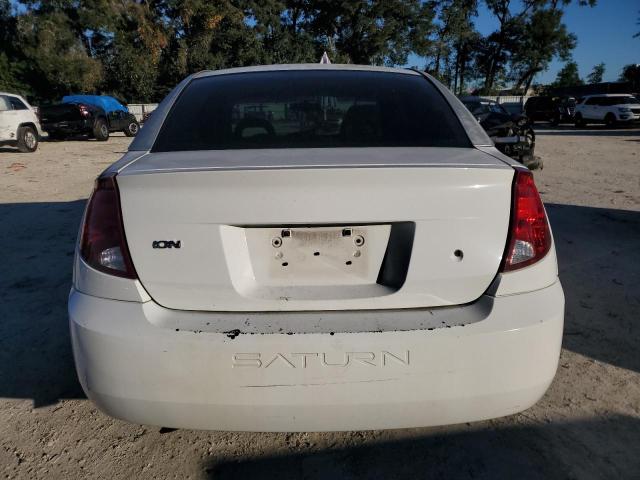 1G8AJ52F53Z119544 - 2003 SATURN ION LEVEL 2 Ağ foto 6